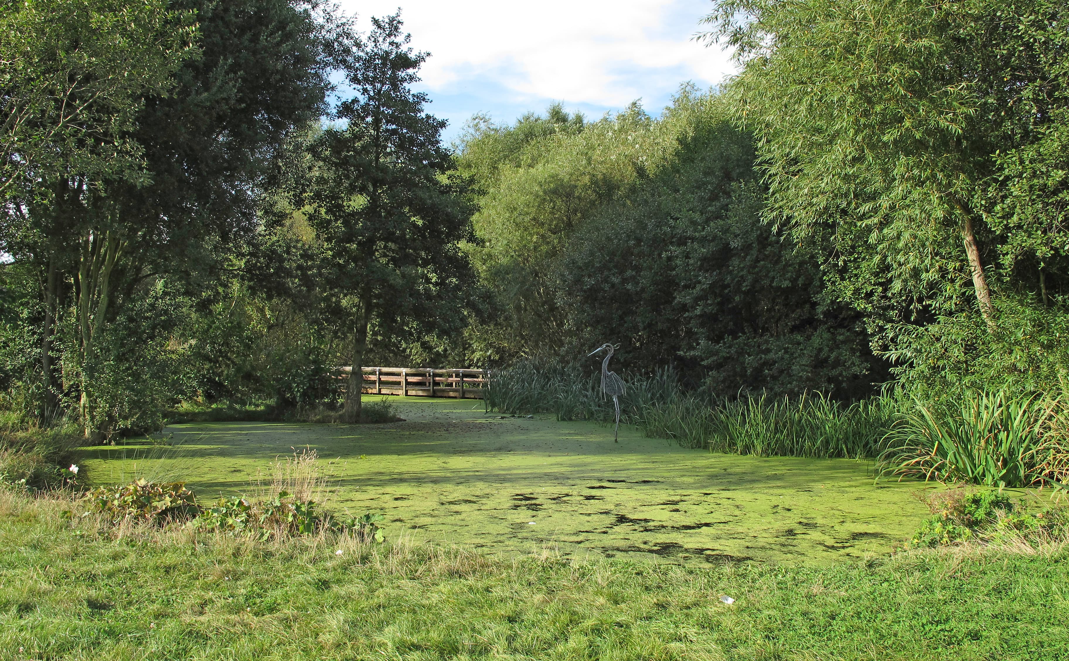 Davy Down Riverside Park