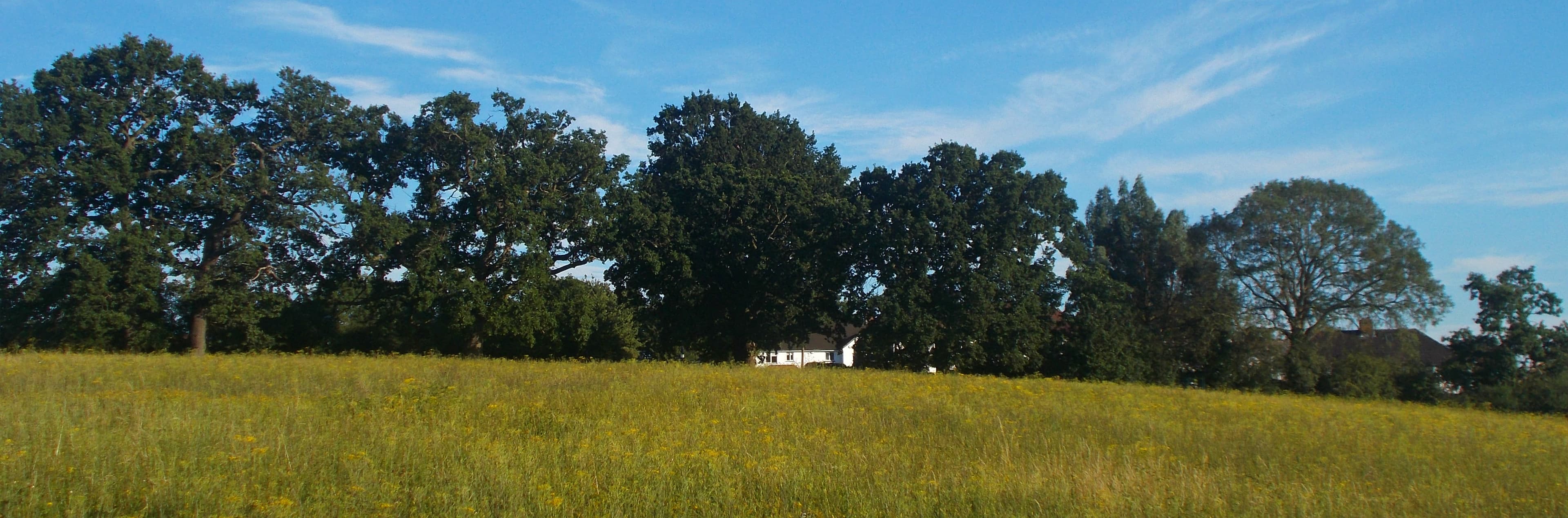 Rosehill Park