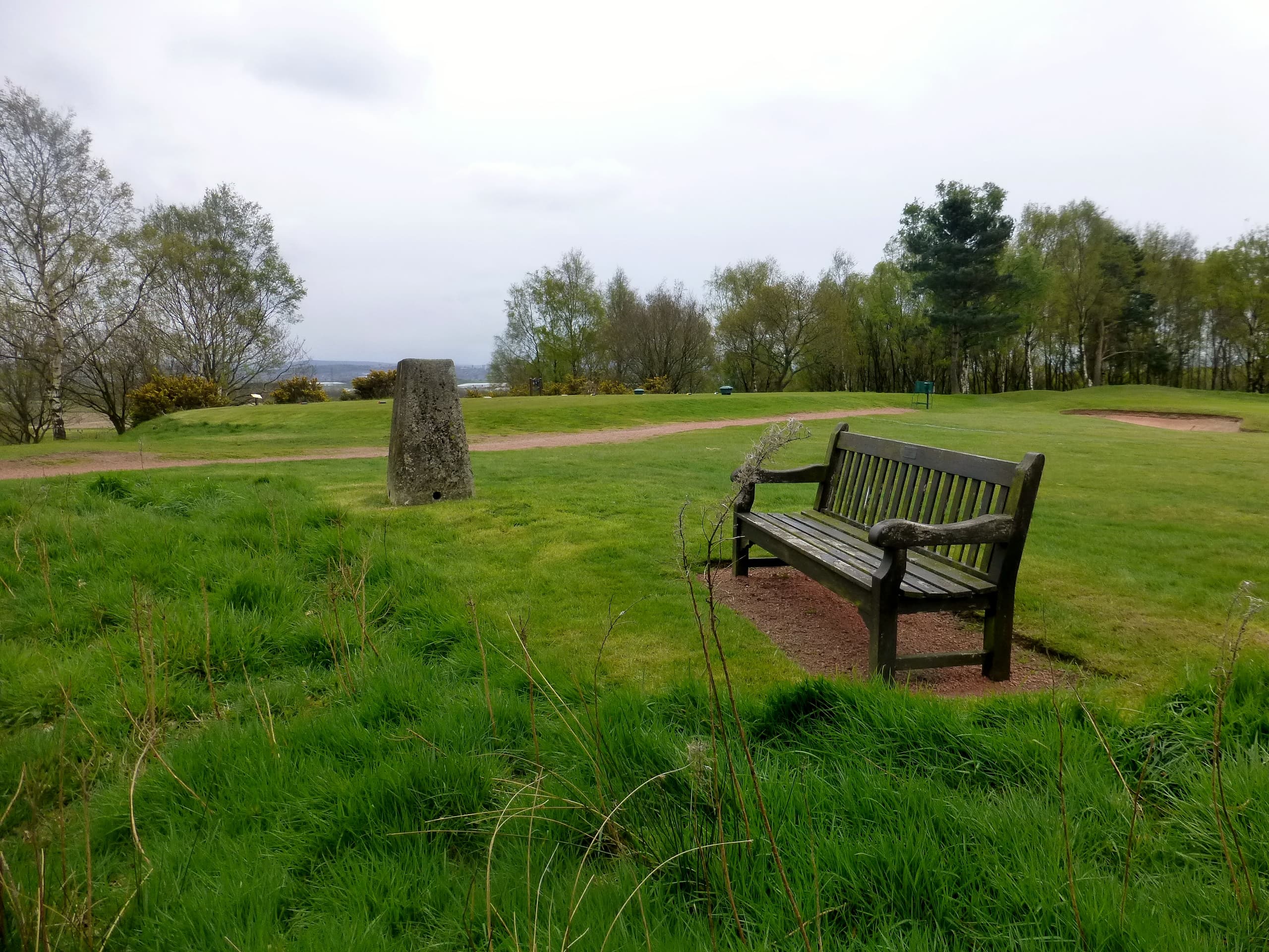 Glade Wood