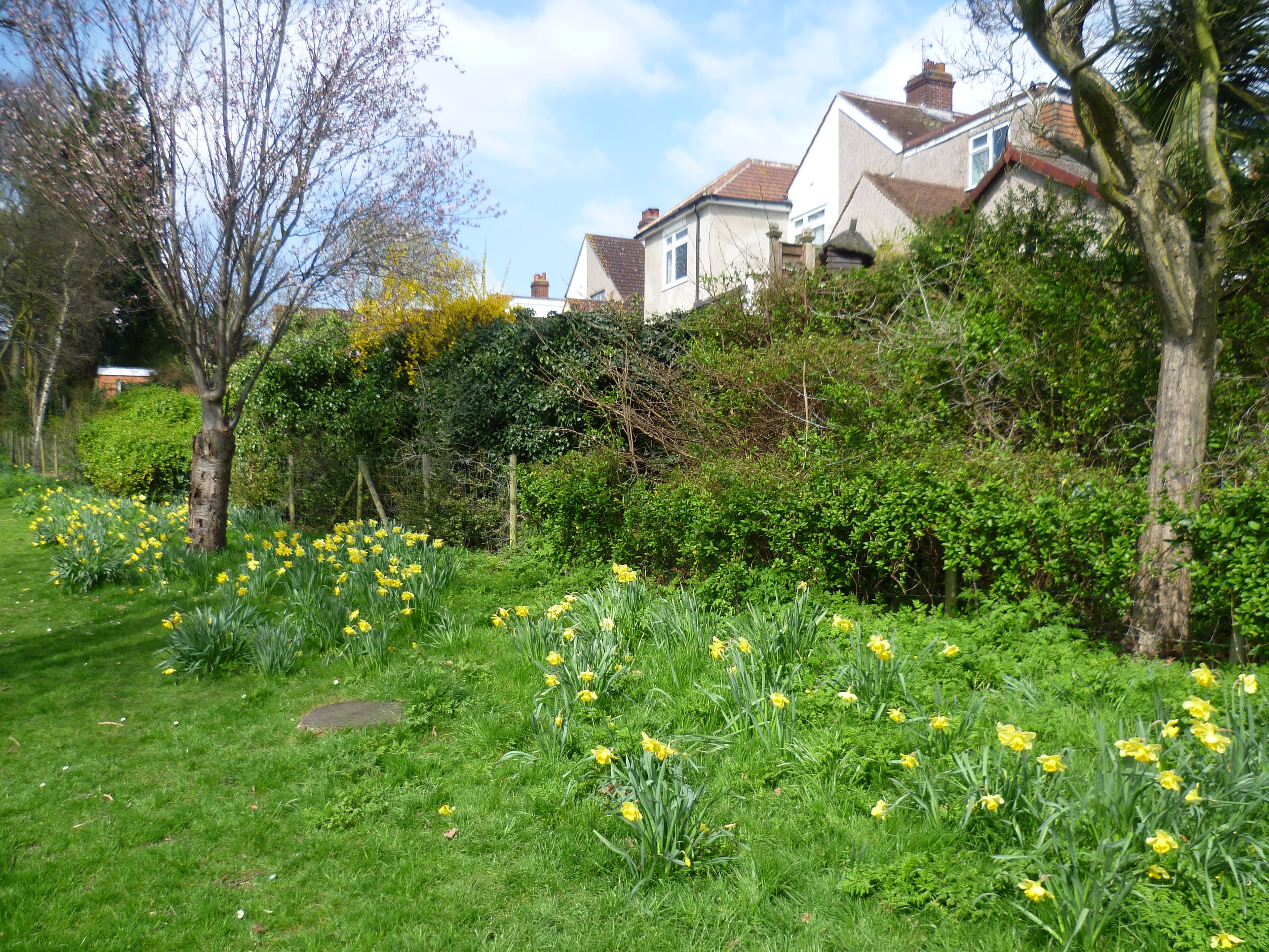 Marlborough Park