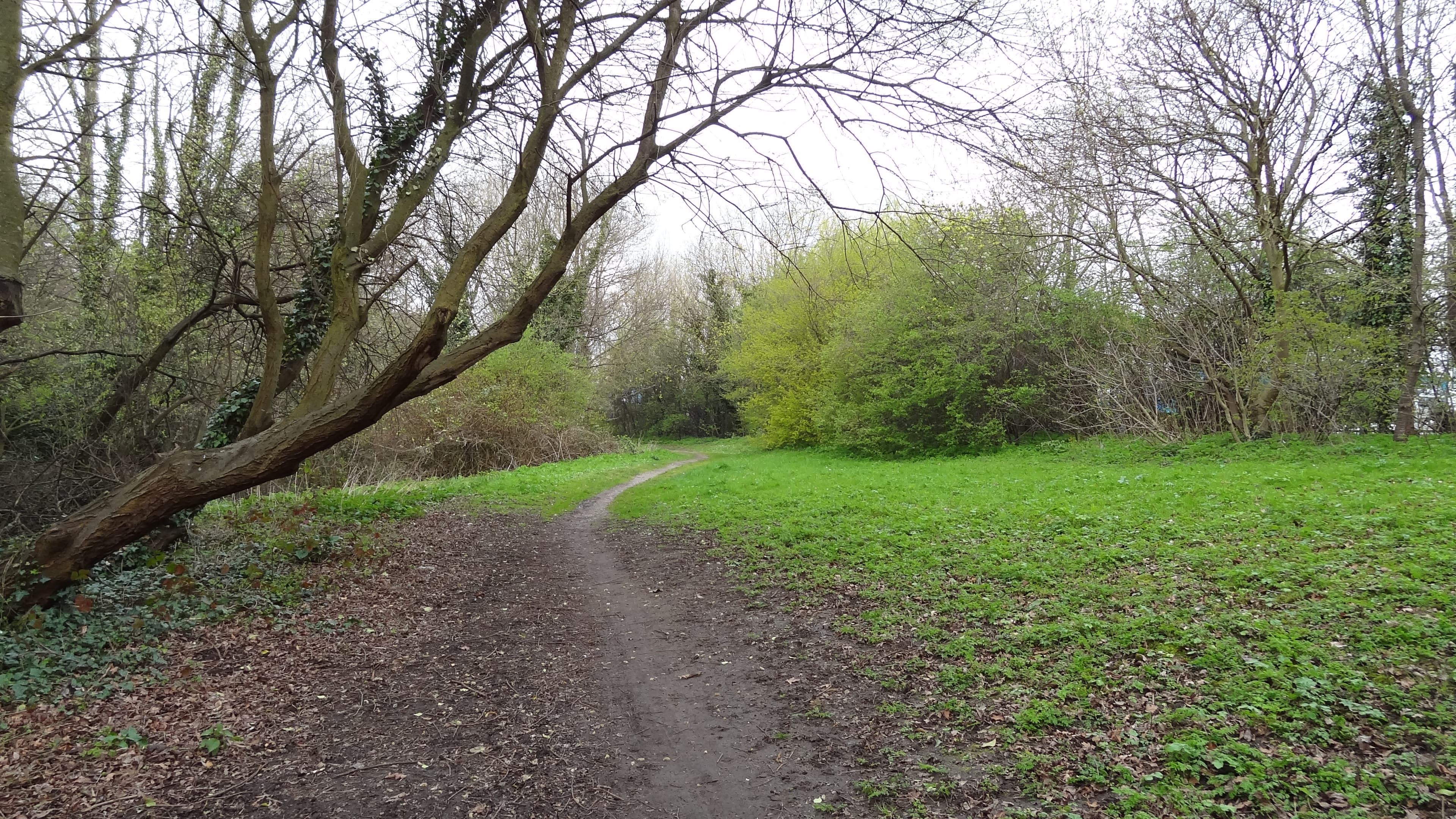 Bennett's Hole
