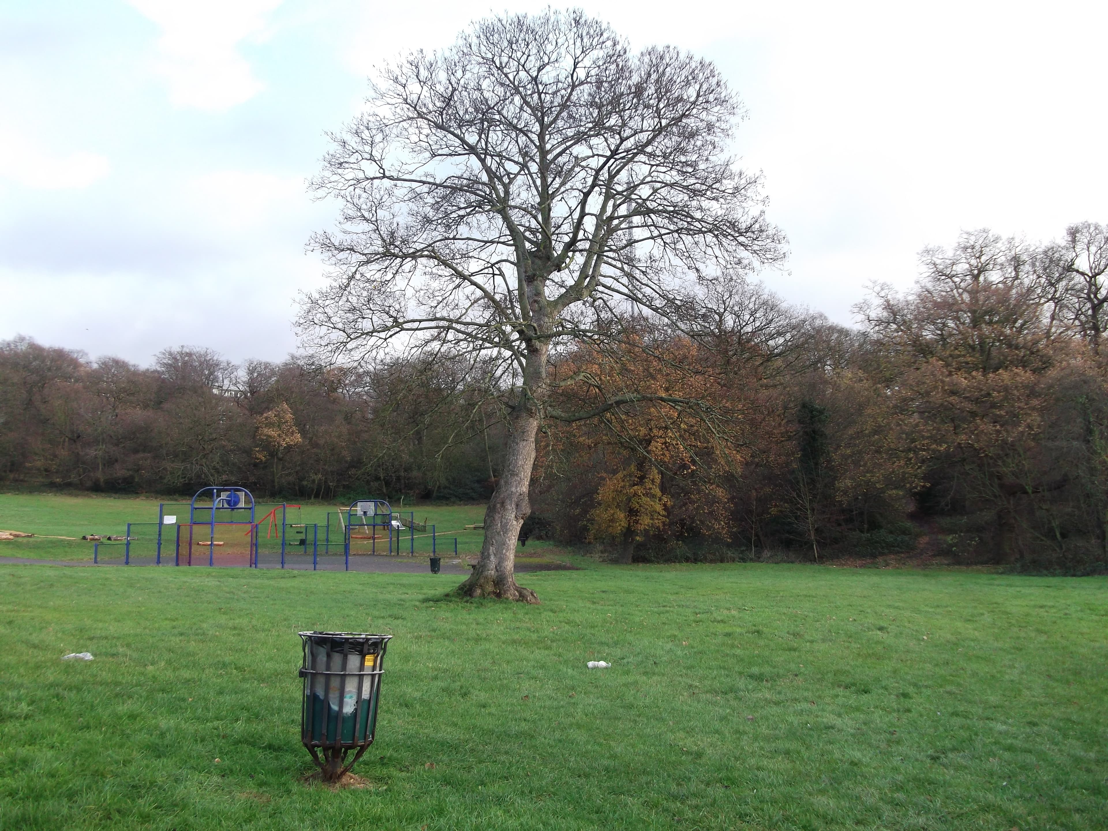 The Lawns