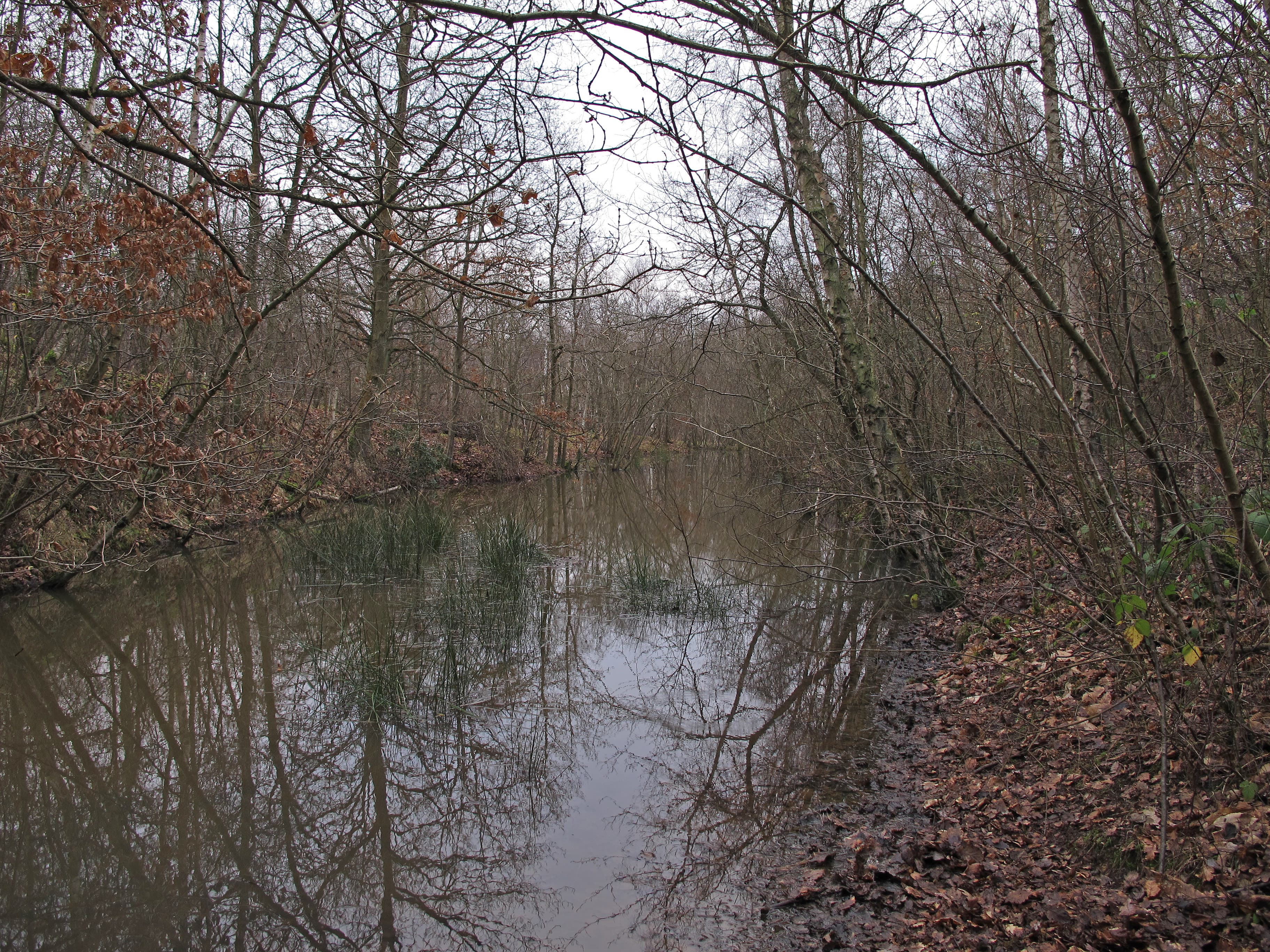 Beacon Wood Country Park